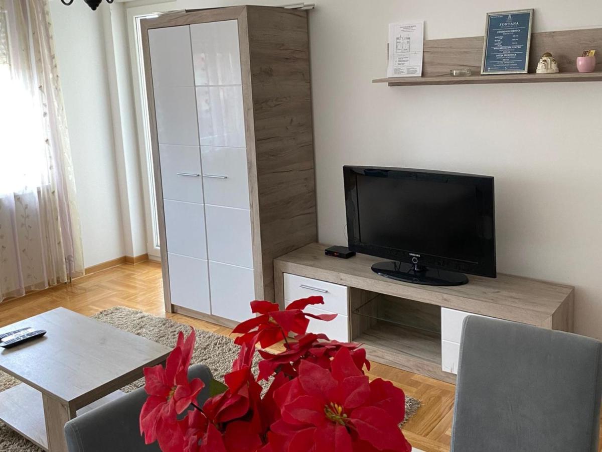 Apartmani Centar Vrnjacka Banja & Free Parking Екстериор снимка